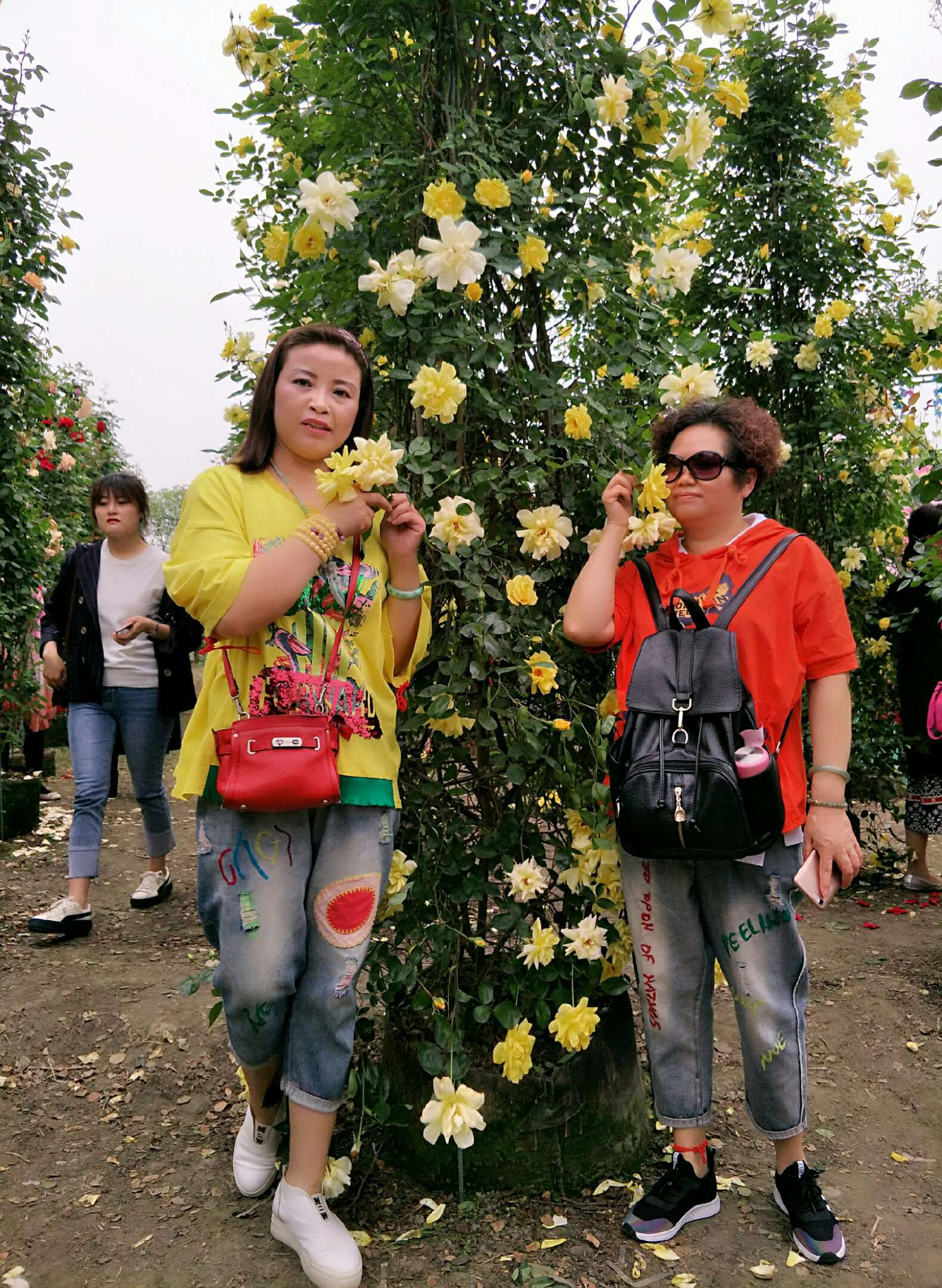 姐妹花带着大象达人秀_花秀鞋垫正格秀视频_花秀