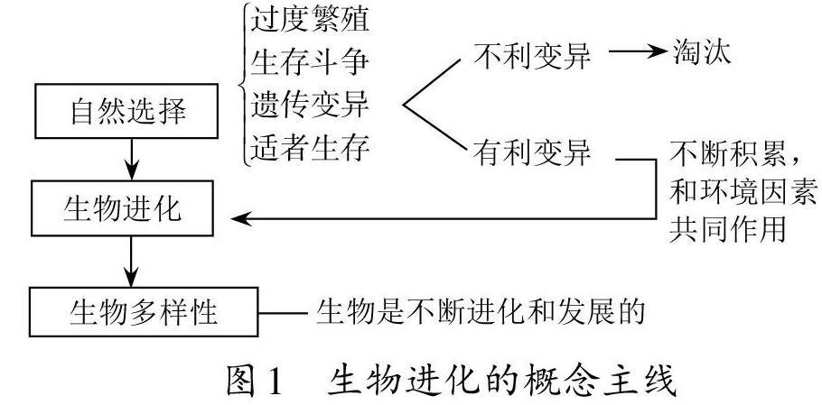 胡地种族值_胡地种族值_mega胡地种族值多少