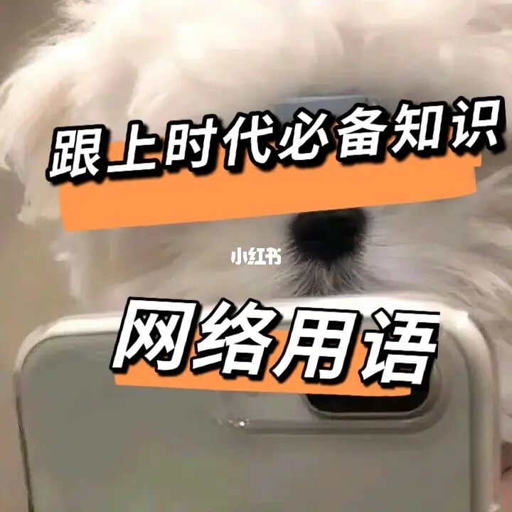 打拳网络用语什么意思_网络上拳击什么意思_网络打拳什么意思