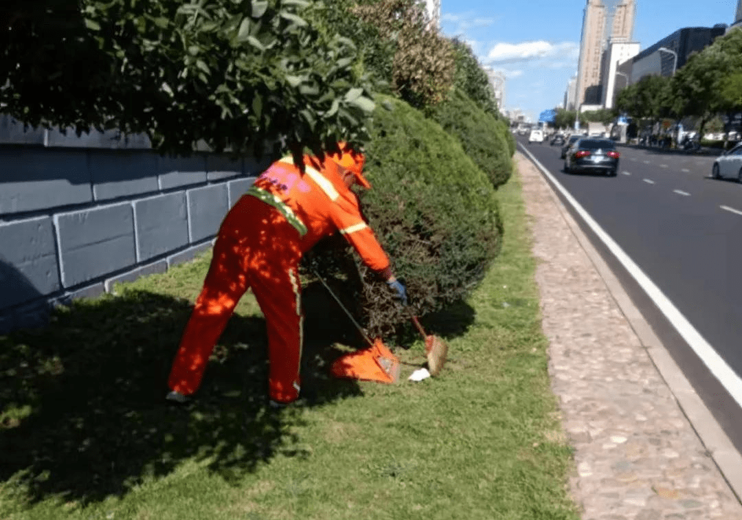 干净的城市游戏手机版下载_城市游戏app_城市游戏手机游戏单机