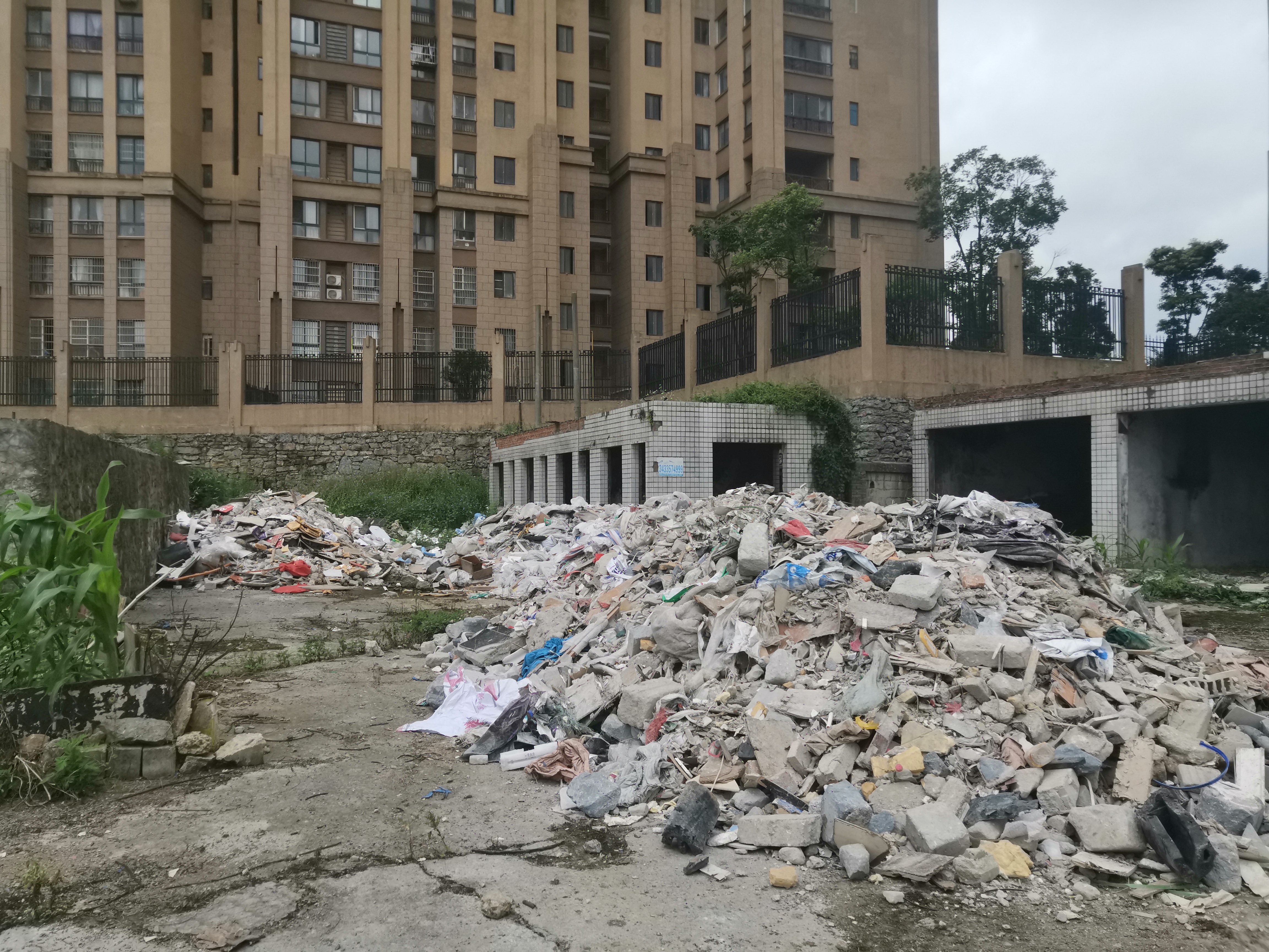 干净的城市游戏手机版下载_城市游戏手机游戏单机_城市游戏app