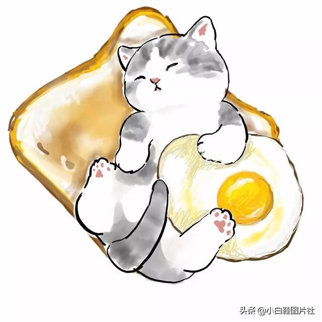 我推的孩子漫画猫-小明和猫，勇气成长的故事