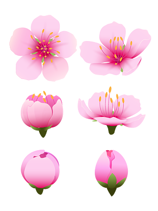 日本的樱花节_樱花节日本放假吗_日本樱花节