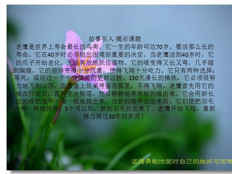 测试测试_测试22_测试测试测试价位