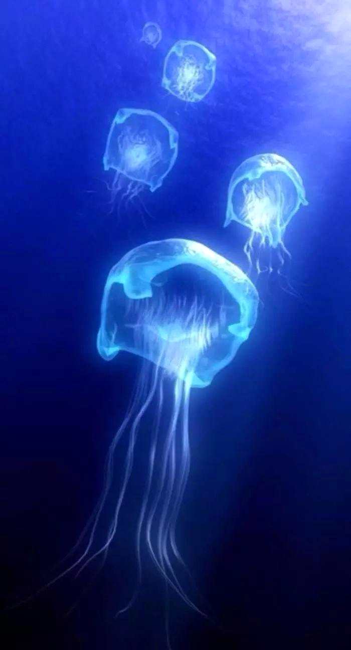 大筒木阿修罗_大简木阿修罗_火影ol大筒木阿修罗技能