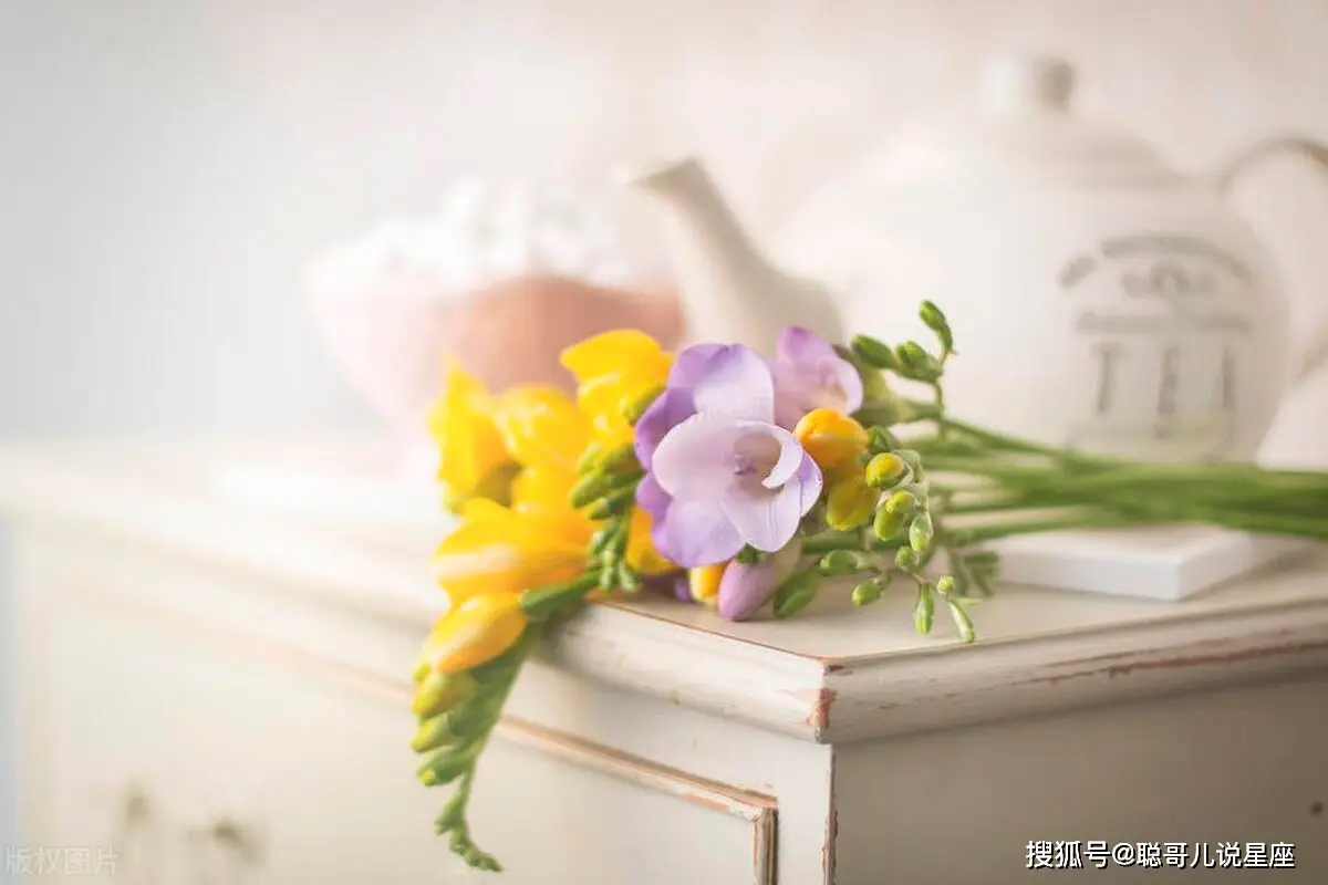 徐艺洋_徐锦江作品_徐三