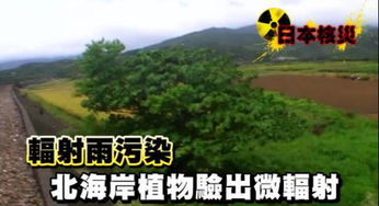 辐射避难所免费下载 