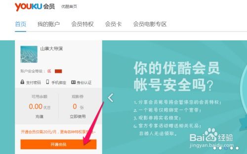 小伴龙会员版 