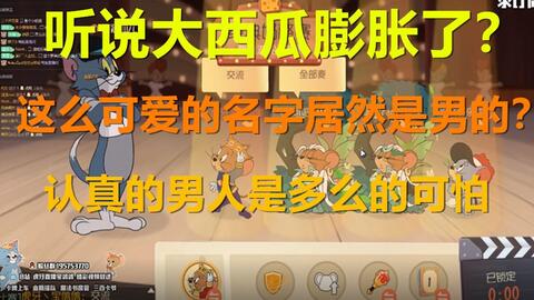 猫鼠游戏名,揭秘刺激的智力对决
